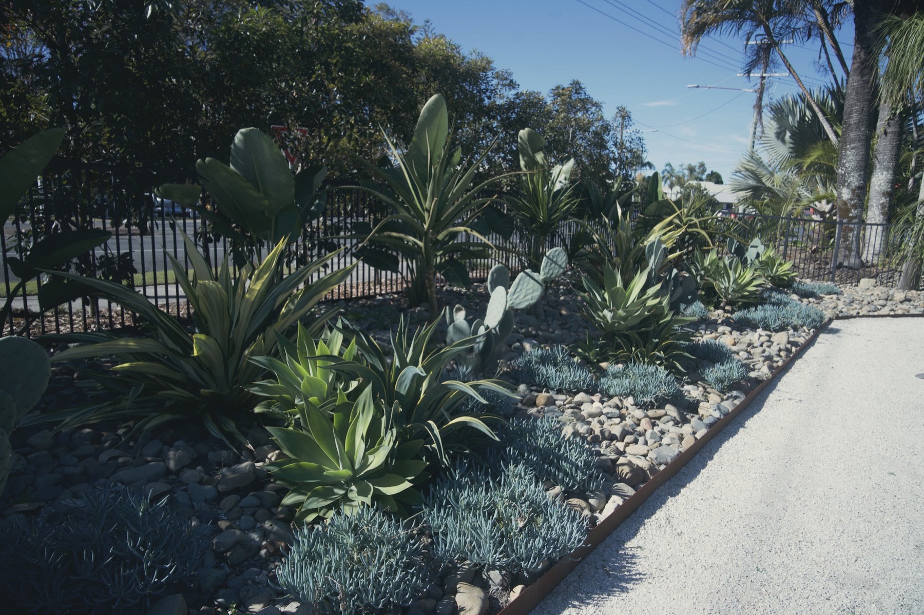 The Brunswick Hotel — cantero de suculentas y cactus