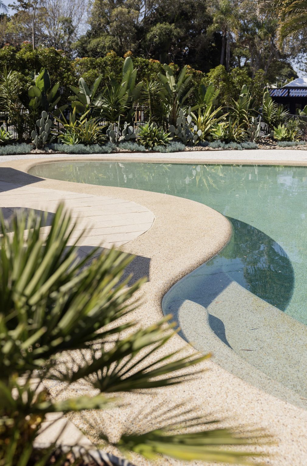El borde curvo de la piscina entre la vegetación nativa
