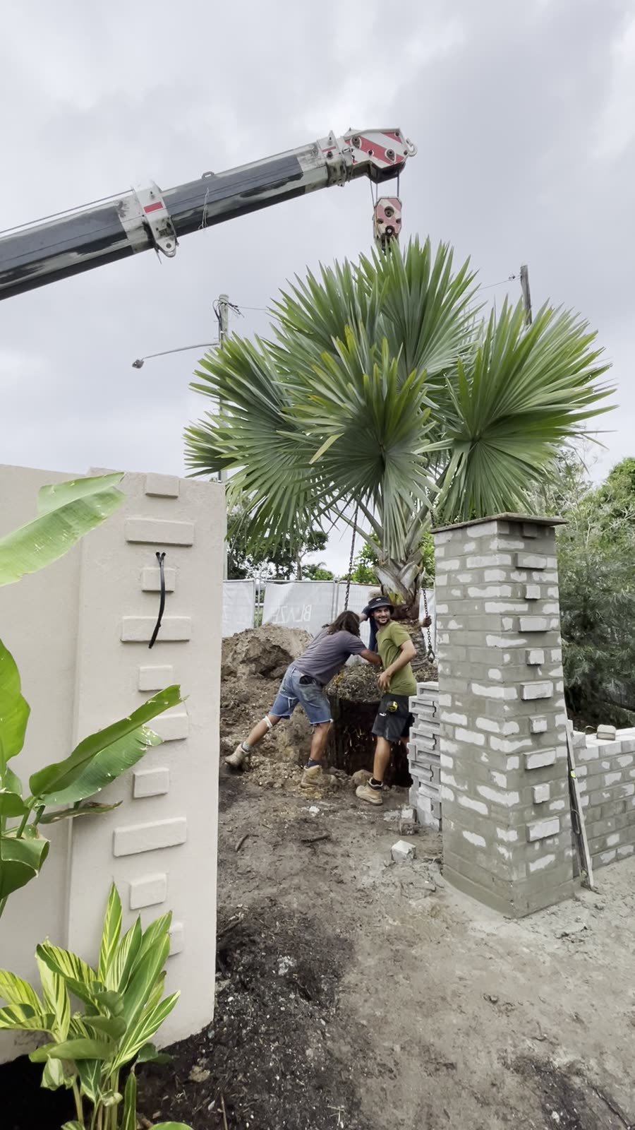 Grúa colocando una palmera junto a un pilar