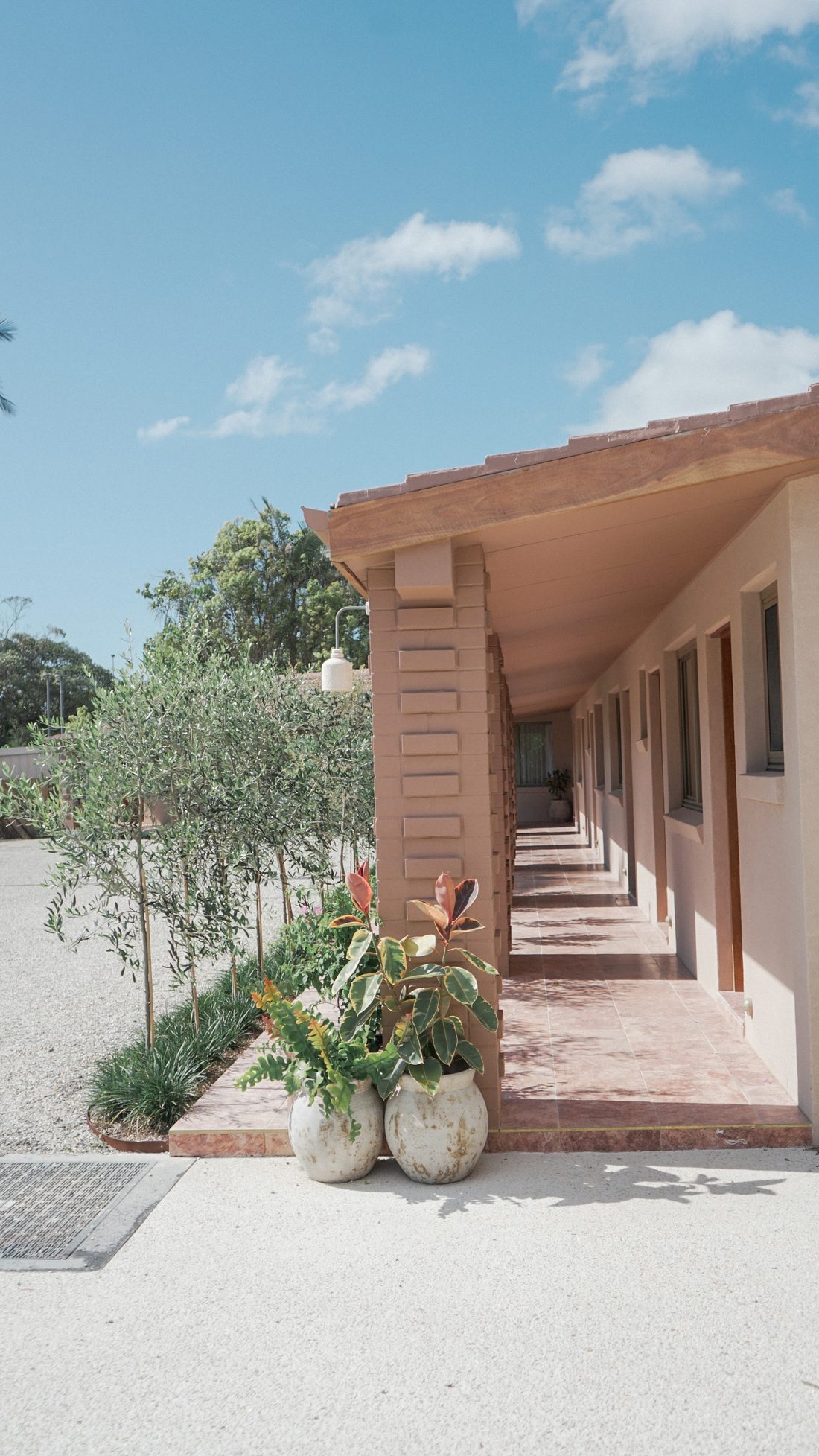 El corredor de las habitaciones con la hilera de olivos
